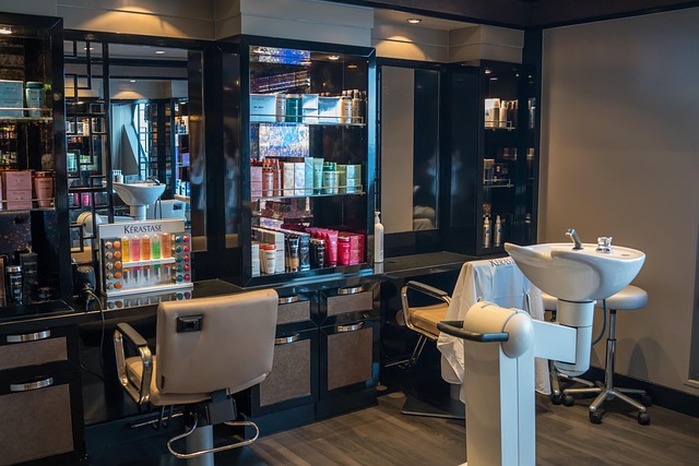 moderní salón